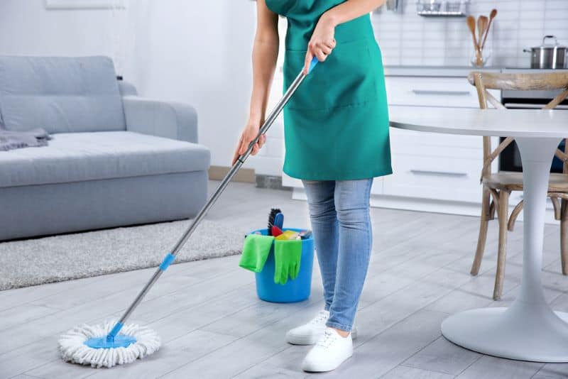 Cleaning and housekeeping services for the disabled